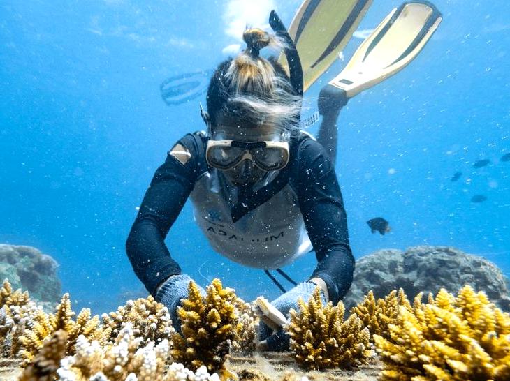 Discovering the Northern Reefs of the Great Barrier Reef