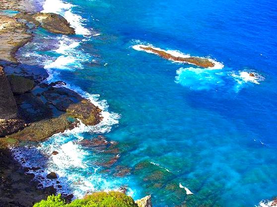 Journey Through the Northern Reefs of the Great Barrier Reef