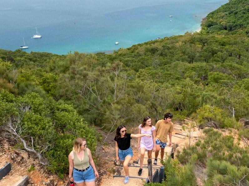 Unveiling Cairns' Underwater Coral Gardens