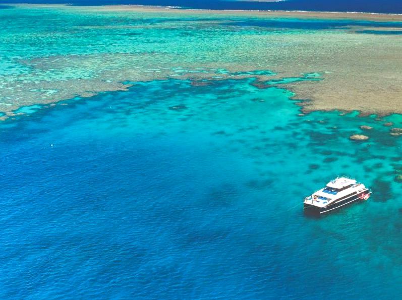 Outer Reef Adventures: Escaping into the Great Barrier Reef