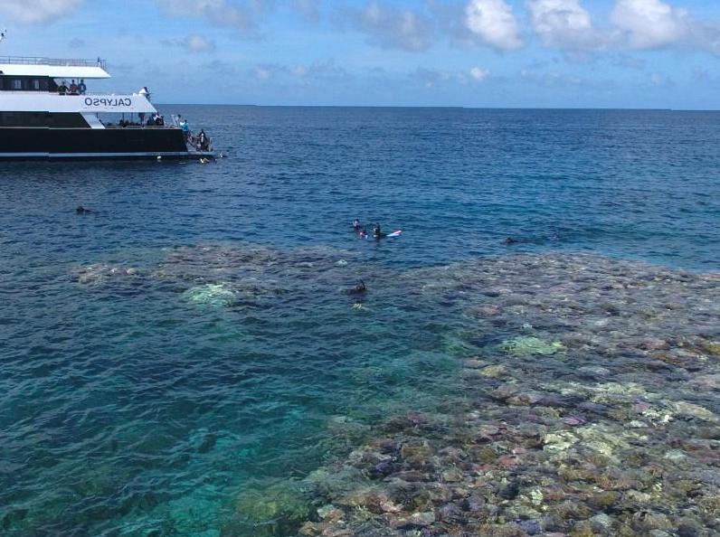 Great Barrier Reef Journeys: Adventures in the Outer Waters