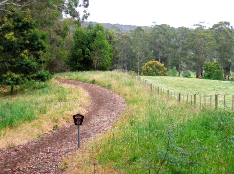 Uncover the Beechy Rail Trail: A Cyclist's Paradise